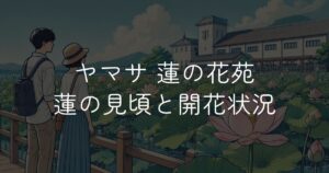 ヤマサ蒲鉾工場 蓮の花苑の開花状況！見頃はいつまで？