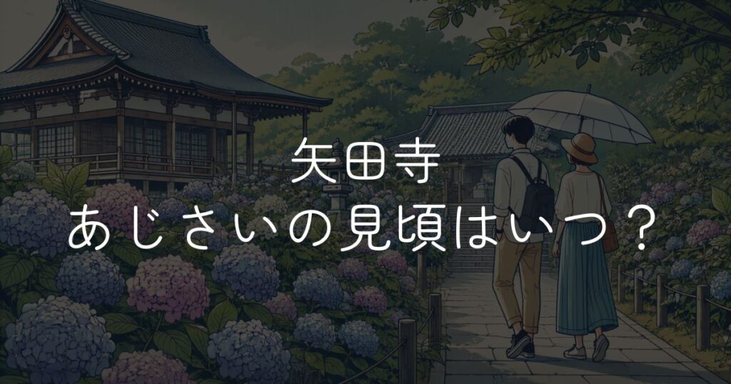 【2026年】矢田寺あじさいの見頃はいつ？開花状況と楽しみ方
