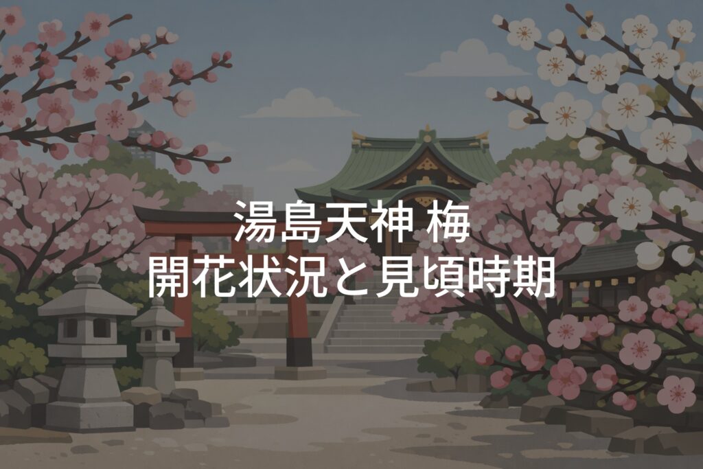 【2026年】湯島天神 梅の開花状況と見頃時期