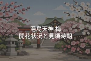 【2026年】湯島天神 梅の開花状況と見頃時期