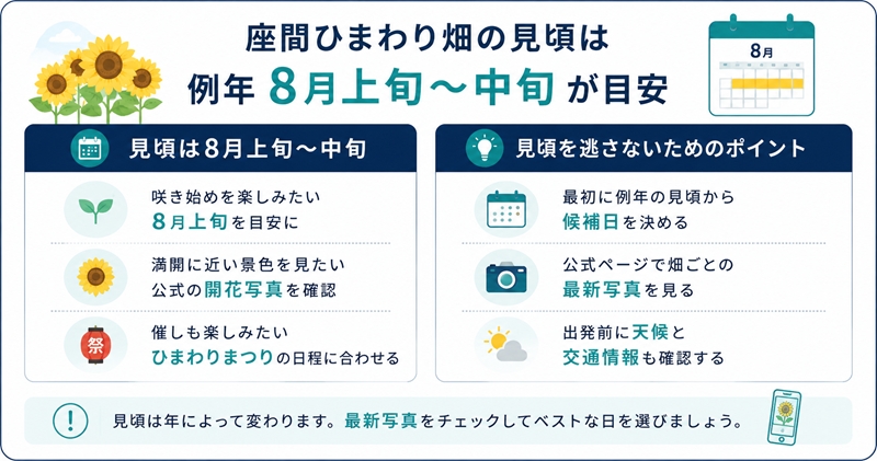 結論:座間ひまわり畑の見頃は例年8月上旬〜中旬が目安