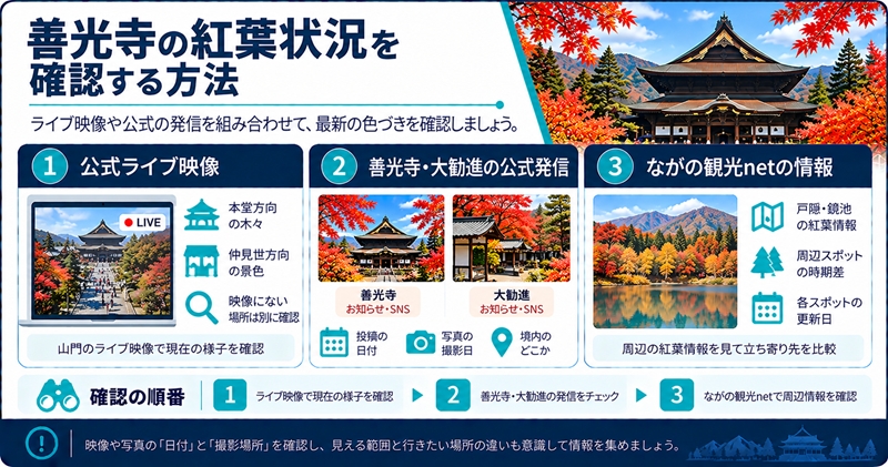 善光寺の紅葉状況を確認する方法